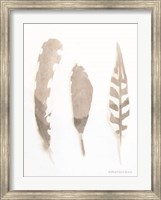 Soft Feathers Study Fine Art Print
