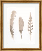 Soft Feathers Study Fine Art Print