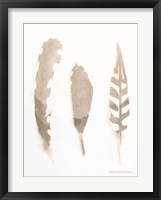 Soft Feathers Study Fine Art Print