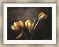 Contemporary Floral Tulips Fine Art Print