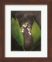 Contemporary Floral Lily of the Valley Fine Art Print