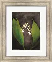 Contemporary Floral Lily of the Valley Fine Art Print