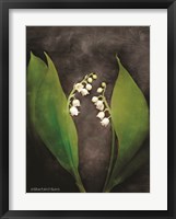 Contemporary Floral Lily of the Valley Fine Art Print