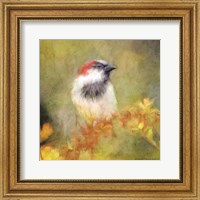 Backyard Bird in Autumn Fine Art Print