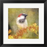 Backyard Bird in Autumn Fine Art Print