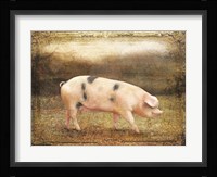 Vintage Sow Fine Art Print