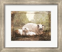 Vintage Ewe and Sleeping Lambs Fine Art Print