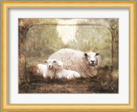 Vintage Ewe and Sleeping Lambs Fine Art Print