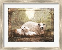 Vintage Ewe and Sleeping Lambs Fine Art Print