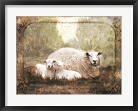 Vintage Ewe and Sleeping Lambs Framed Print