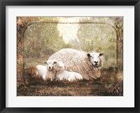 Vintage Ewe and Sleeping Lambs Fine Art Print