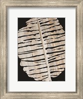 Palm Frond Wood Grain II Fine Art Print