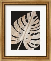 Palm Frond Wood Grain III Fine Art Print