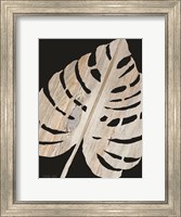 Palm Frond Wood Grain III Fine Art Print