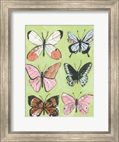 Butterfly Beauty Fine Art Print