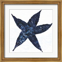 Midnight Starfish Fine Art Print