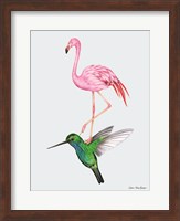 The Hummingbird and the Flamingo Fine Art Print