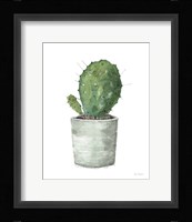 Mixed Greens Succulent VI Framed Print