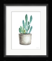Mixed Greens Succulent V Fine Art Print