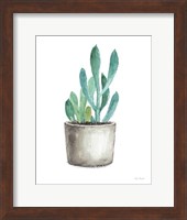 Mixed Greens Succulent V Fine Art Print