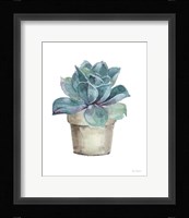 Mixed Greens Succulent IV Framed Print