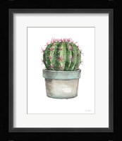 Mixed Greens Succulent II Framed Print