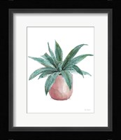 Mixed Greens Succulent I Framed Print