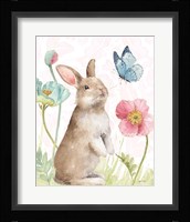 Spring Softies Bunnies  II Pink Framed Print
