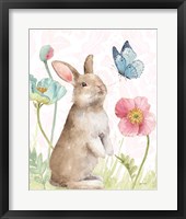 Spring Softies Bunnies  II Pink Framed Print