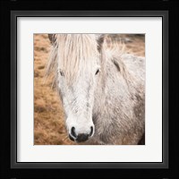 Heida IV Fine Art Print