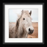 Heida III Fine Art Print