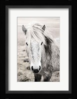 Heida II BW Fine Art Print