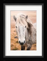 Heida II Fine Art Print