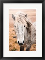 Heida II Framed Print