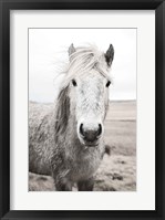 Heida I BW Framed Print