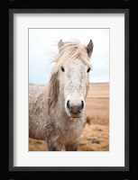 Heida I Fine Art Print