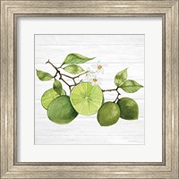 Citrus Garden VII Shiplap Fine Art Print