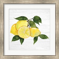 Citrus Garden VI Shiplap Fine Art Print