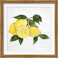 Citrus Garden VI Shiplap Fine Art Print