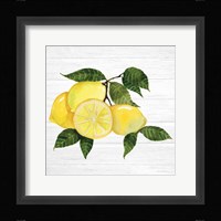 Citrus Garden VI Shiplap Framed Print
