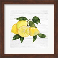 Citrus Garden VI Shiplap Fine Art Print