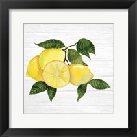 Citrus Garden VI Shiplap Framed Print