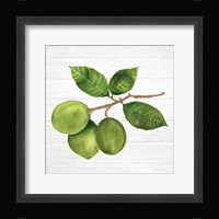 Citrus Garden II Shiplap Fine Art Print