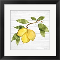 Citrus Garden I Shiplap Framed Print