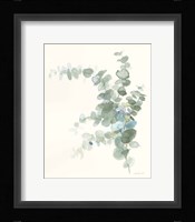 Scented Sprig III Cool Framed Print