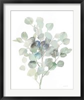 Eucalyptus III Cool Fine Art Print