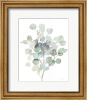 Eucalyptus III Cool Fine Art Print
