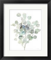 Eucalyptus III Cool Framed Print