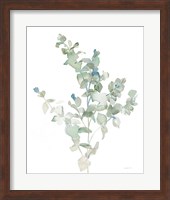 Eucalyptus II Cool Fine Art Print