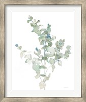 Eucalyptus II Cool Fine Art Print